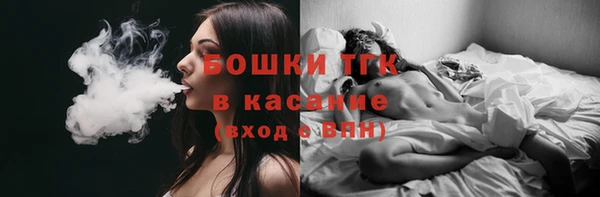 spice Аркадак