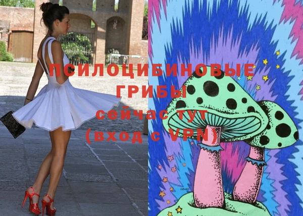прущие крисы Армянск