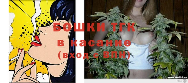 spice Аркадак