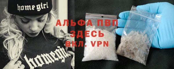 spice Аркадак