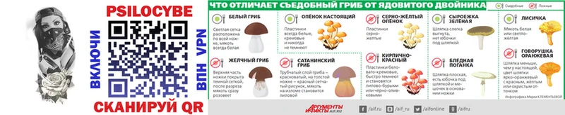 Псилоцибиновые грибы Psilocybine cubensis  Купить  Сорск 